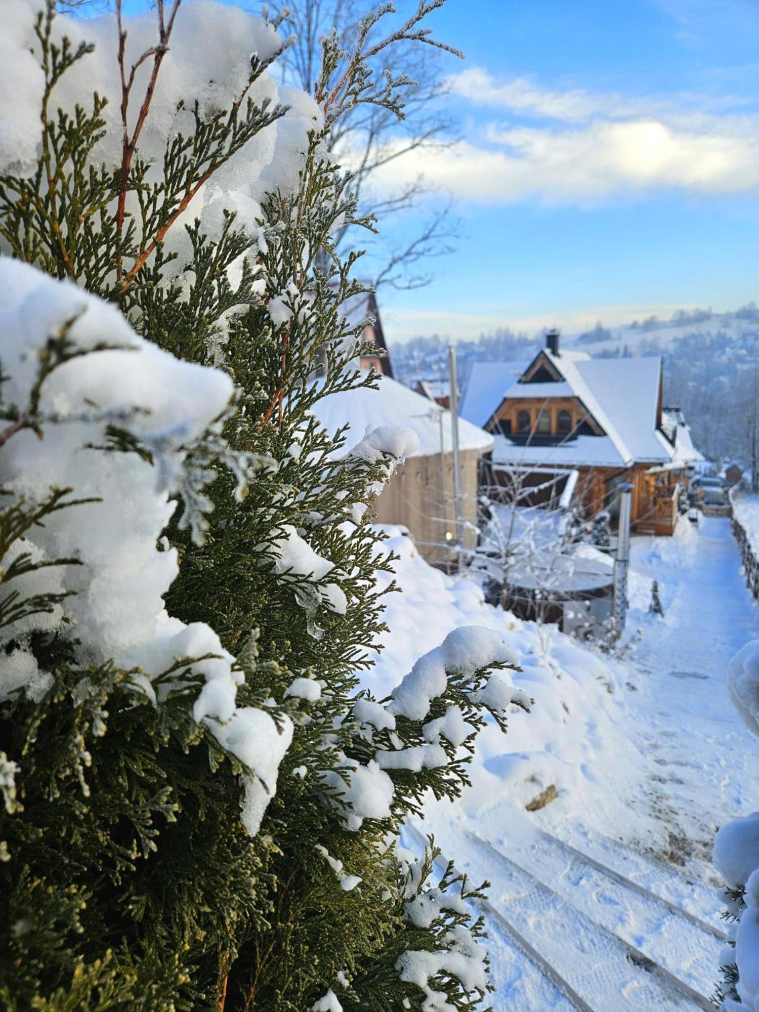 Goralska Chatka 2 Highland Cottage - Split Ac, Jacuzzi, Sauna, Private Parking, Mountains View, Garden, Закопане Екстер'єр фото